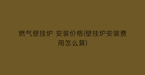 “燃气壁挂炉 安装价格(壁挂炉安装费用怎么算)